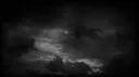 N⌖tural $election banner