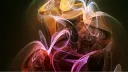 Gewoon Gezellig ❤ banner