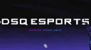 DSQ Esports banner
