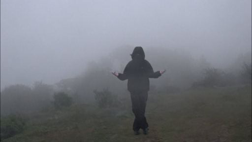 BrainCord Discord server banner