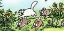 Dicke Katze banner