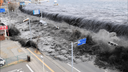 Disaster Hub Discord server banner