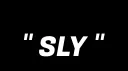 Sly Industrie banner