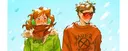 banner