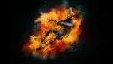 ivo's bois banner