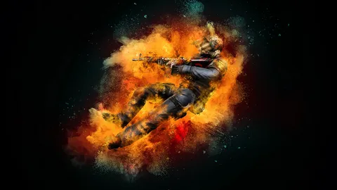 ivo's bois banner