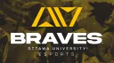 Braves Esports banner