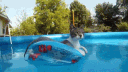Cat Emotes server banner