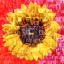 HANNON banner
