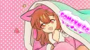Comfy N' Co. banner