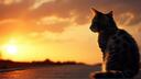Catastic Banner