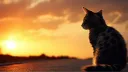 Catastic Discord server banner