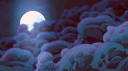 🐼︙EL PANDA SQUAD banner