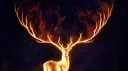 Pretty Channel banner