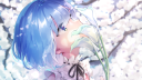 Ayamari Network Discord server banner