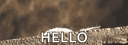 banner