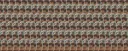 Mother Foca banner