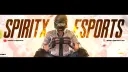 SPIRIT X ESPORTS Banner
