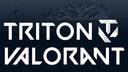 Triton Valorant Banner