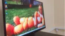DURR Burdel Discord server banner