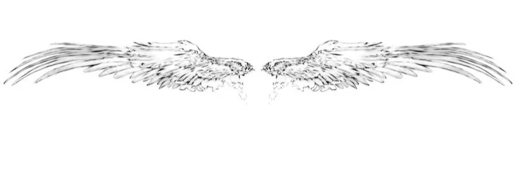 brolivia's profile banner