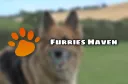 Furries Haven banner