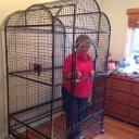 Pancake Generations Banner