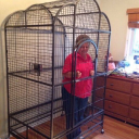 Transformers Generations server banner