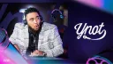 YNOT B CASTING banner