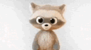 Mundo Mapache banner