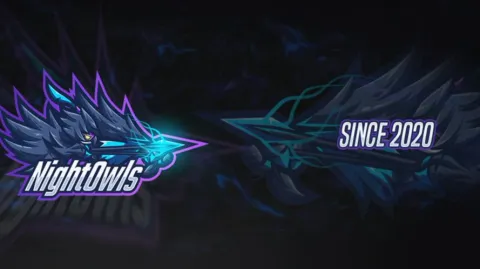 NightOwls HQ banner