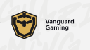 Vanguard Gaming banner