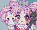 Lunar home banner