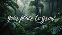 Advertise Here  | Templates・Advertising・Emojis・Jobs・Giveaways Banner