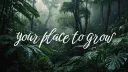 Advertise Here 📢 | Templates・Advertising・Emojis・Jobs・Giveaways Discord server banner