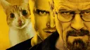 The Escape banner