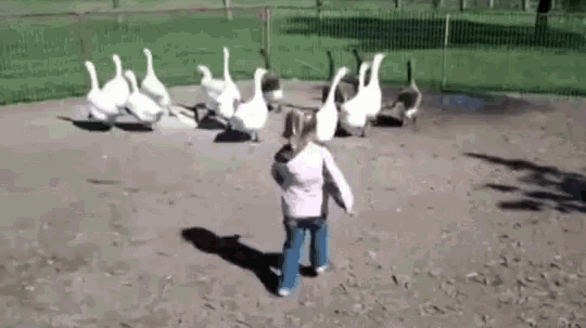 Bow & Aros Discord server banner