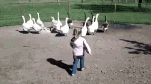 Bow & Aros Discord server banner