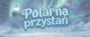 Polarna przystań Banner