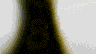NecroGold banner