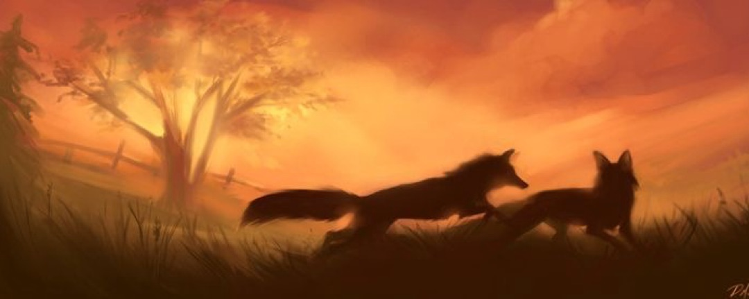 VK Banner