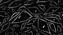 Cult of UrghBla Banner