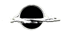 IL BUCO Server Banner