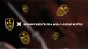 ORGANIZATION MS-13 banner