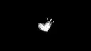 Cvrsifys Wrld Discord server banner