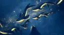 Nocturnal Oasis server banner