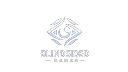 Blindsided banner