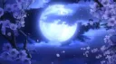 TEA sooshi banner