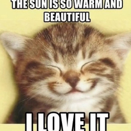 Passione Requiem Discord server banner