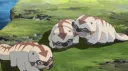 โฝ๐๐๐ฌ๐ข๐ฌ ๐จ๐ ๐๐ซ๐๐ง๐ช๐ฎ๐ข๐ฅ๐ข๐ญ๐ฒโพ Discord server banner